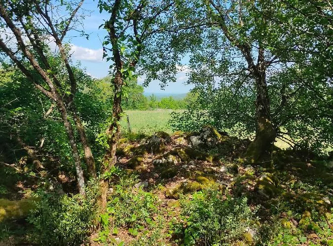 Célé Bulles étoilées