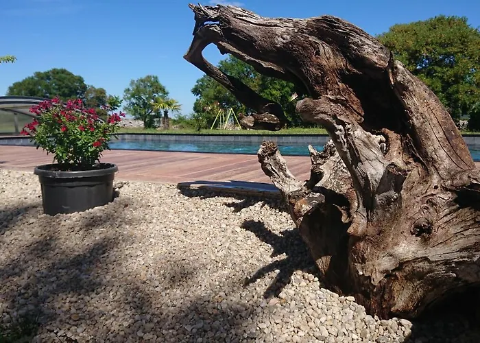 Célé Bulles étoilées Tente de luxe