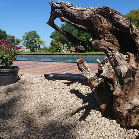 Cele Bulles Etoilees خيمة فخمة