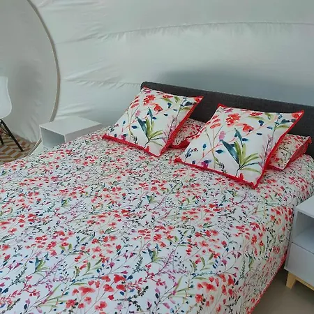 Cele Bulles Etoilees *